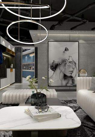 �׸���˹• INSϵ�У�Ʒ�|(zh��)����ē�(d��n)��(d��ng)���b��Ч���D